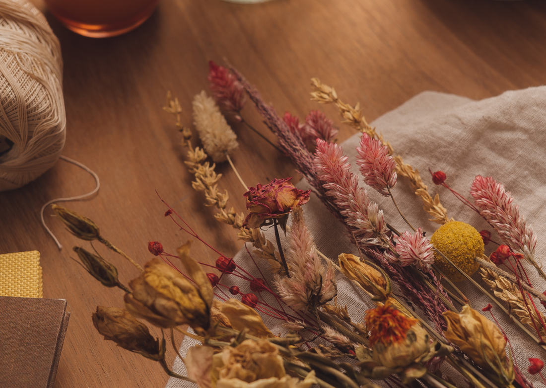 4_copia.png 4_copia.png