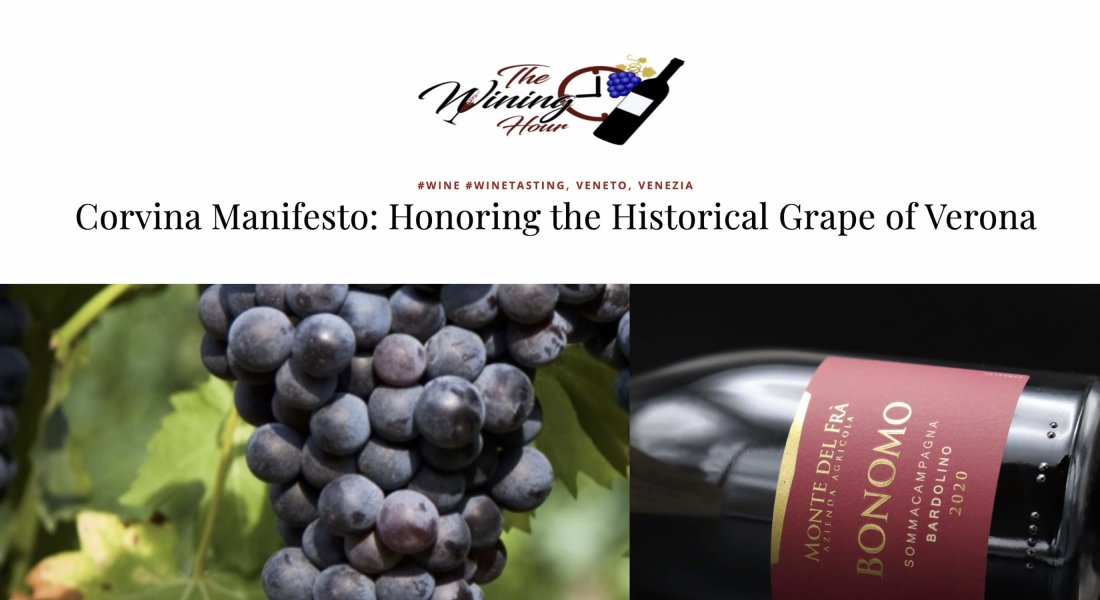 Corvina grapes: Corvina Manifesto Corvina grapes: Corvina Manifesto