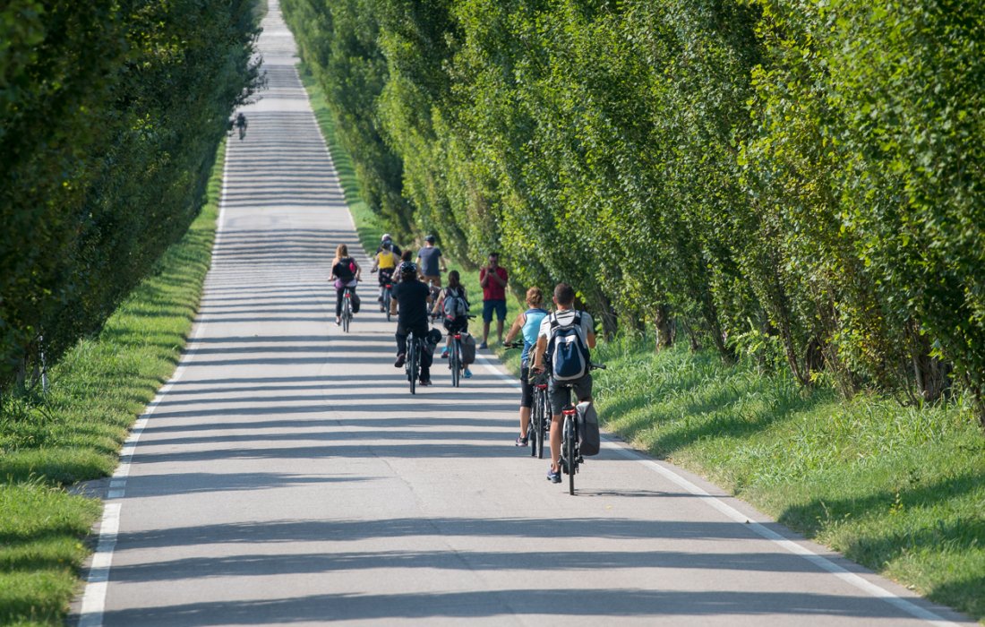 fjt_2724.jpg fjt_2724.jpg