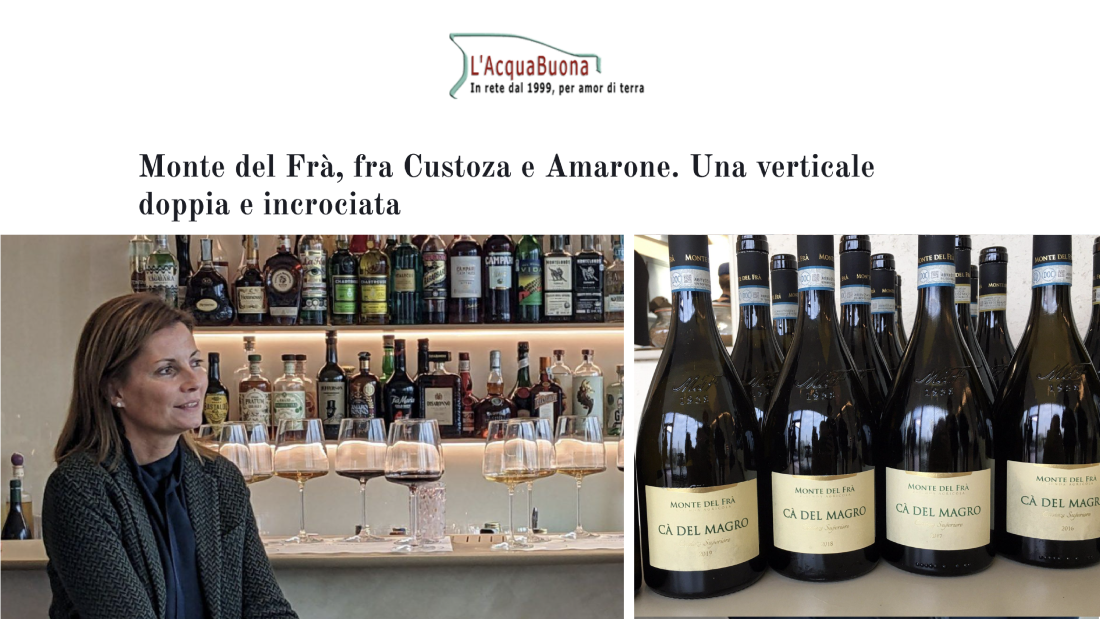 Degustazione vini verticale di Custoza doc e Amarone docg frasson_tavola_disegno_1.png