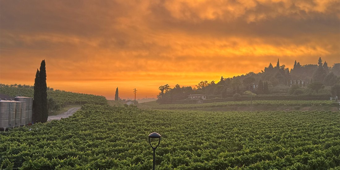 golden-hour-views-around-verona-autumn golden-hour-views-around-verona-autumn.jpg