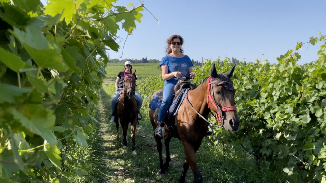 img_3464.jpeg img_3464.jpeg