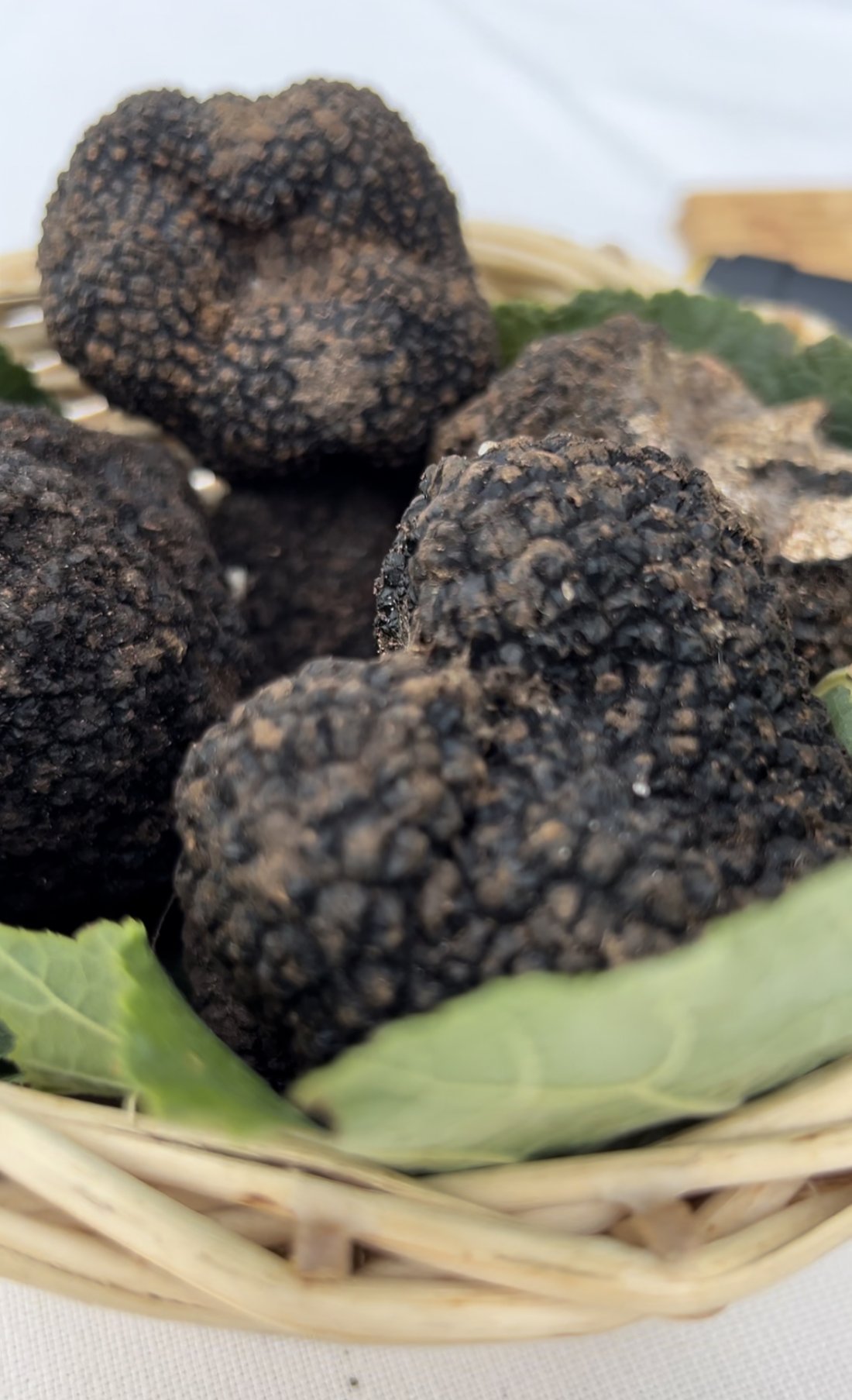 img_9063.jpg img_9063.jpg