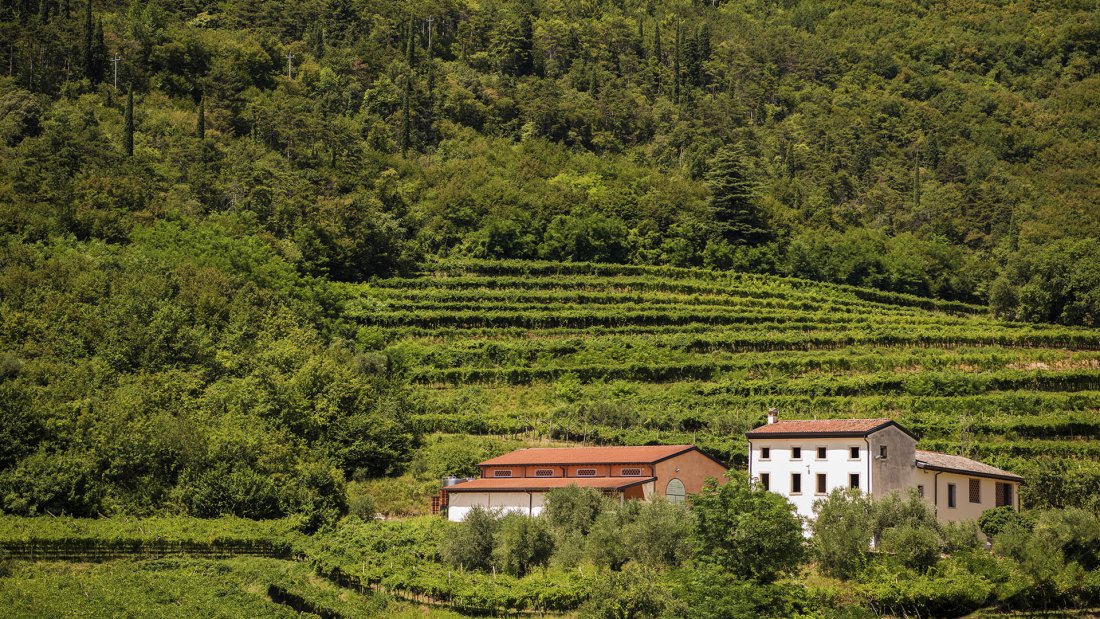 Tenuta Lena di Mezzo in Valpolicella Classica lena-struttura_copia_2.jpg