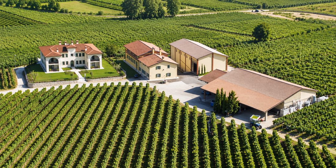 Monte del Frà in the Heart of Custoza DOC Monte del Frà winery in Sommacampagna, surrounded by Custoza DOC vineyards and the morainic hills south of Lake Garda