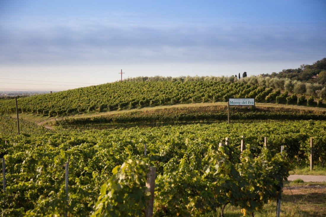 Monte del Frà Vineyards in Verona Back in Italy: the vineyards of Monte del Frà, where the wines behind our Dutch street food pairings are born.