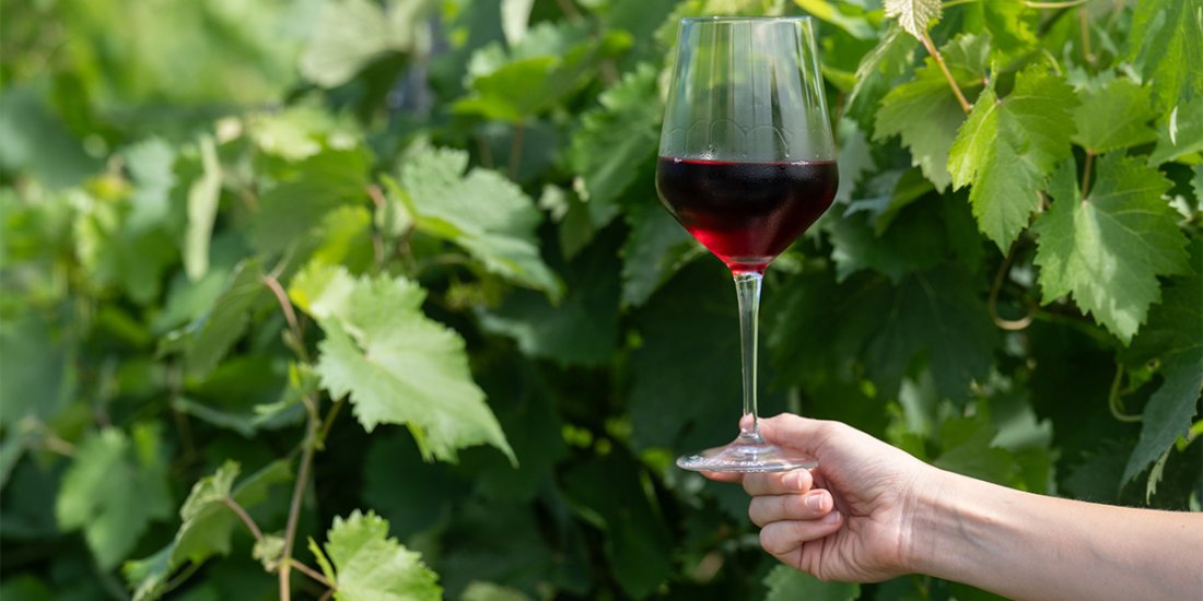 n-chilled-red-wines-05 n-chilled-red-wines-05.jpg