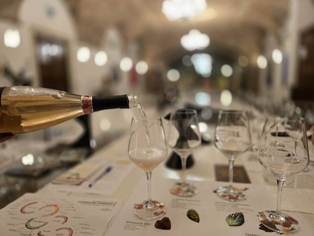 photo-2024-08-23-17-01-04_3.jpg photo-2024-08-23-17-01-04_3.jpg