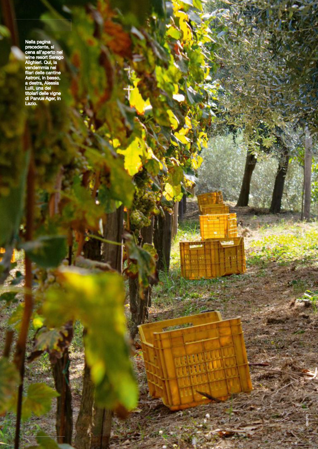 screenshot_2024-09-20_alle_09-41-54.png screenshot_2024-09-20_alle_09-41-54.png