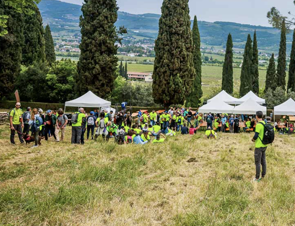 2025: eventi enogastronomici a Verona e Lago di Garda 2025: Essen und Trinken in Verona und am Gardasee