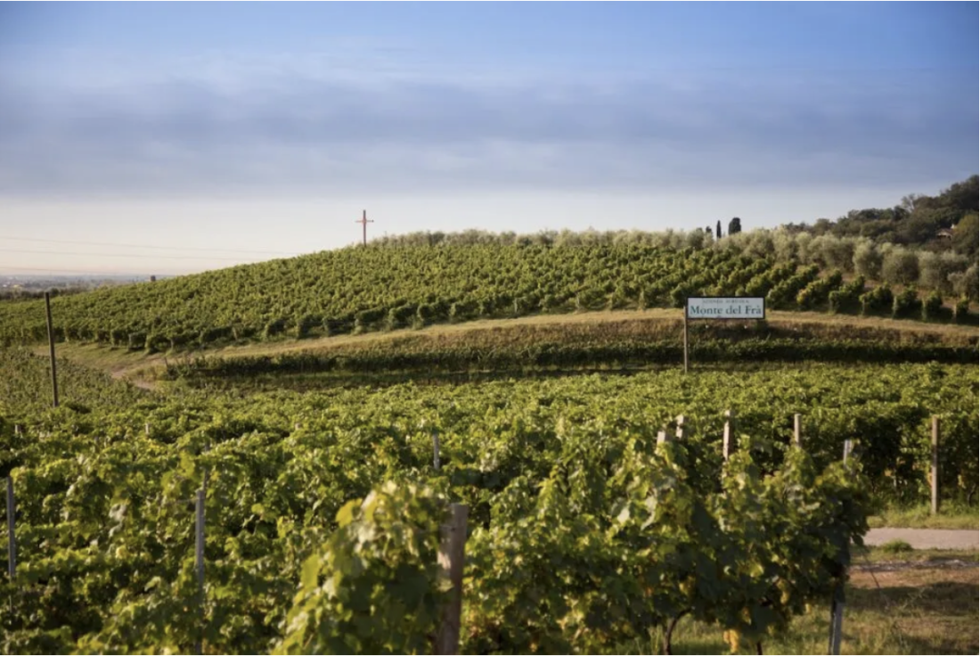 screenshot_2026-03-30_alle_18-33-22.png screenshot_2026-03-30_alle_18-33-22.png