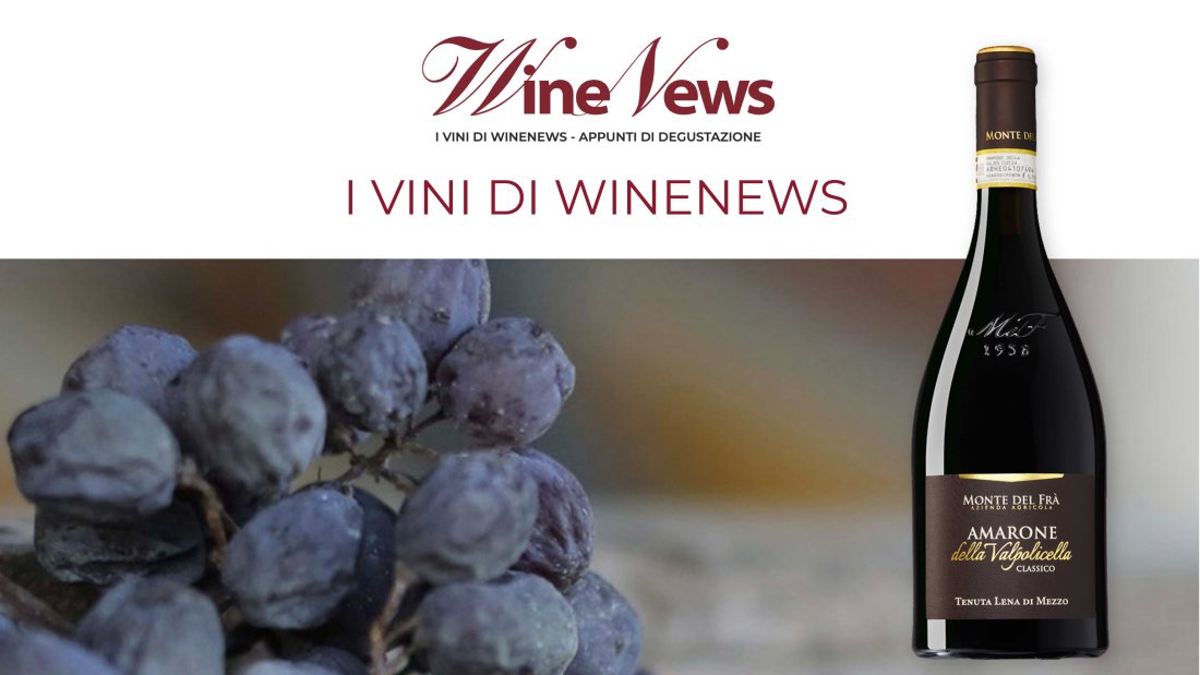 Amarone della Valpolicella Classico docg Tenuta Lena di Mezzzo wine_news_amarone_tavola_disegno_1.jpg