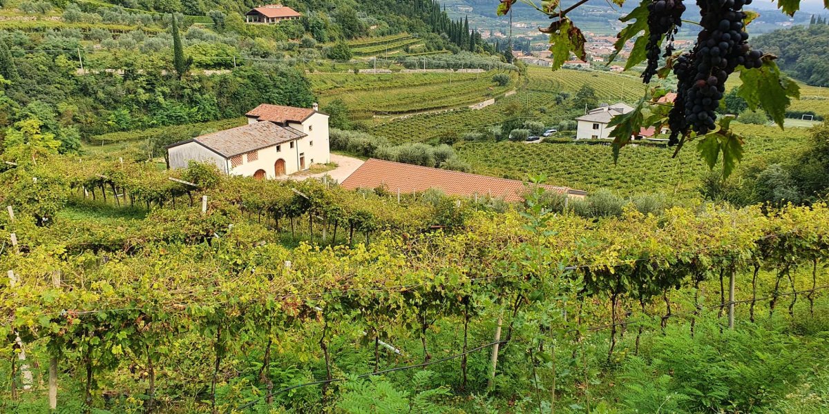 copertina-articolo-valpo.jpg copertina-articolo-valpo.jpg