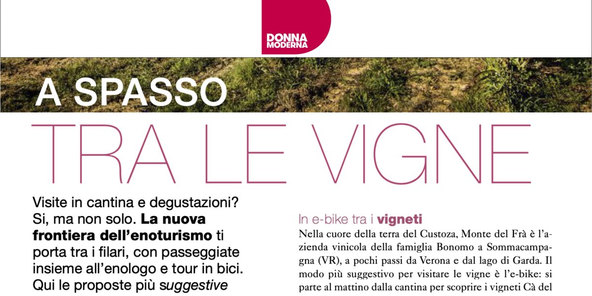 Enoturismo a Custoza - E-bike tour copertina-def.jpg