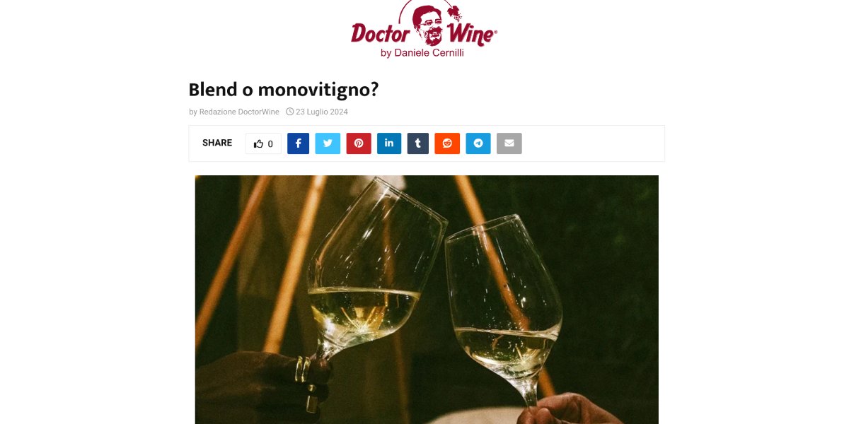 Vini consigliati Verona doctor_wine_copertina.jpg