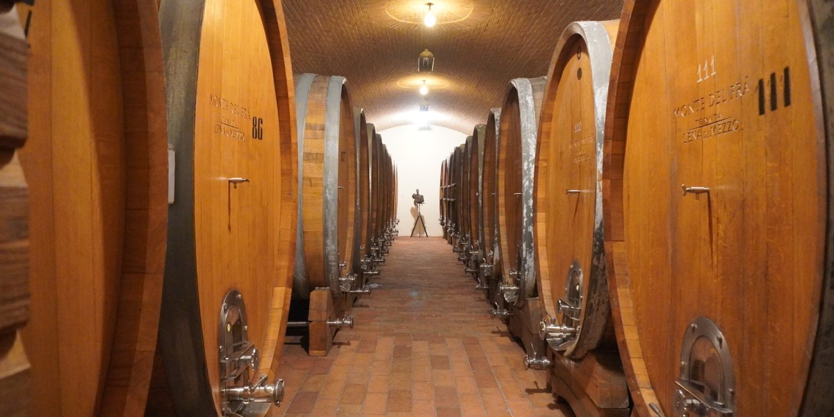 Vino e Arte a Verona Vino e Arte a Verona