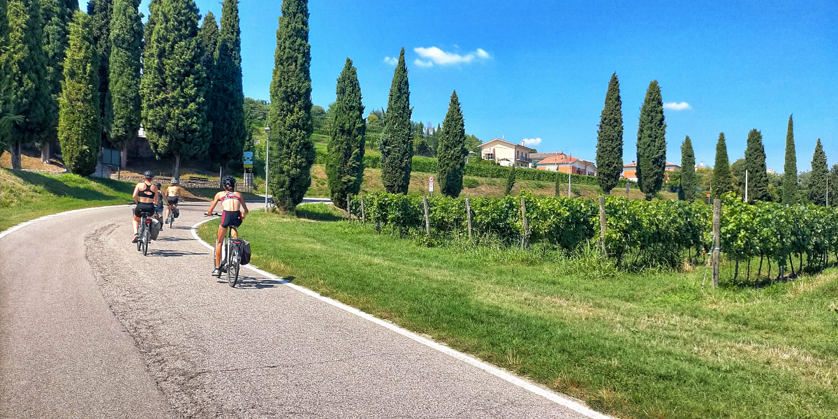 Custoza in bicicletta Custoza in bicicletta con degustazione in cantina