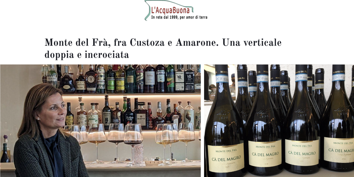 Degustazione vini verticale di Custoza doc e Amarone docg frasson_tavola_disegno_1.png