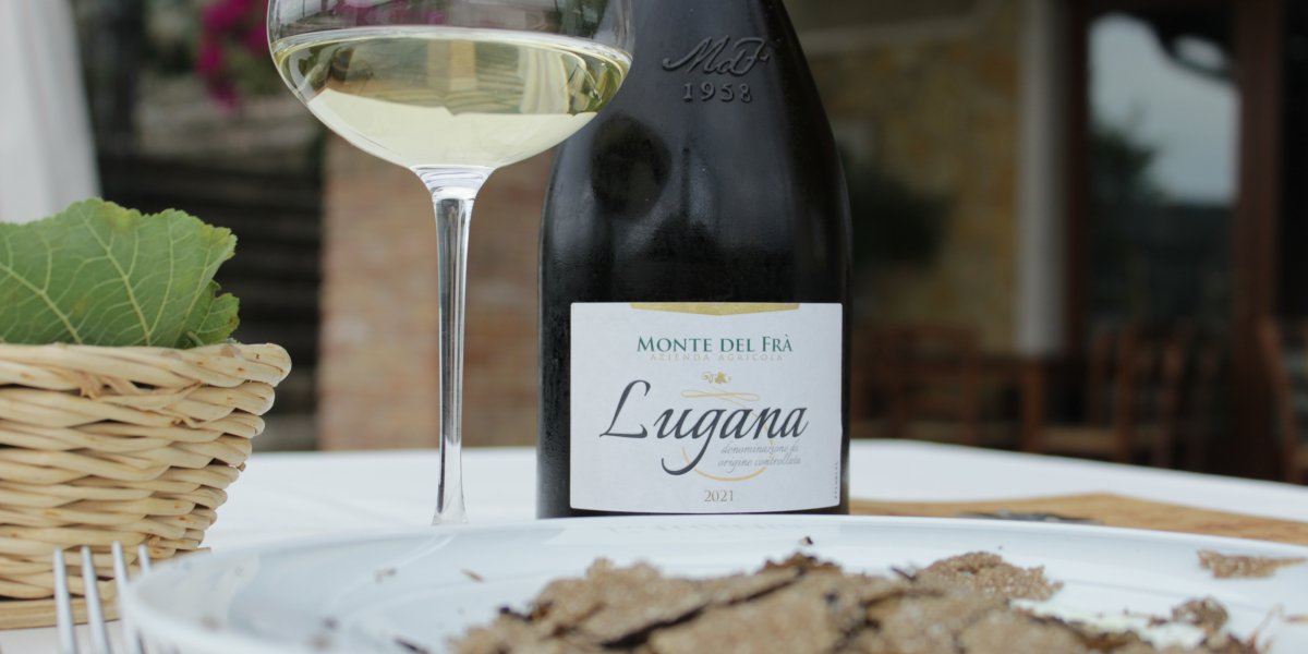 img_8109_copia.jpg img_8109_copia.jpg