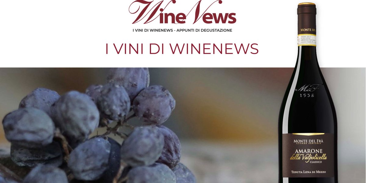 Amarone della Valpolicella Classico docg Tenuta Lena di Mezzzo wine_news_amarone_tavola_disegno_1.jpg