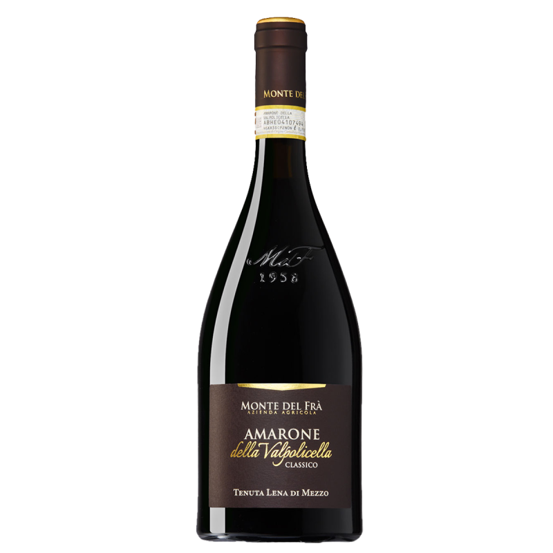 ワイン AMARONE DELLA VALPOLICELLA CLASSICO 2019 Amarone Della Valpolicella Classico Giuseppe Lonardi, Veneto